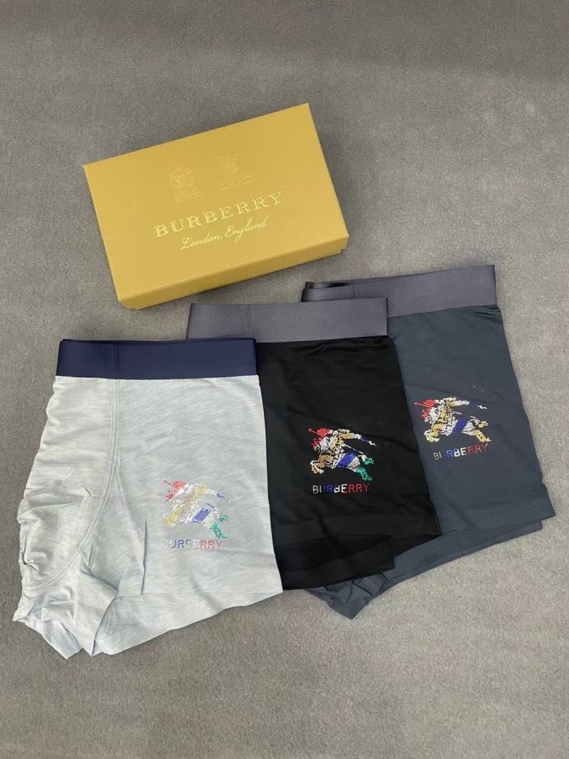 Burberry Panties